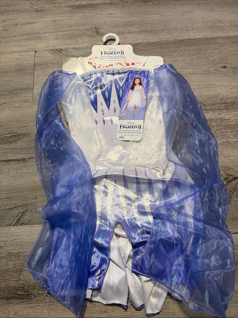 Disney Frozen II Blue and White Elsa Dress Costume